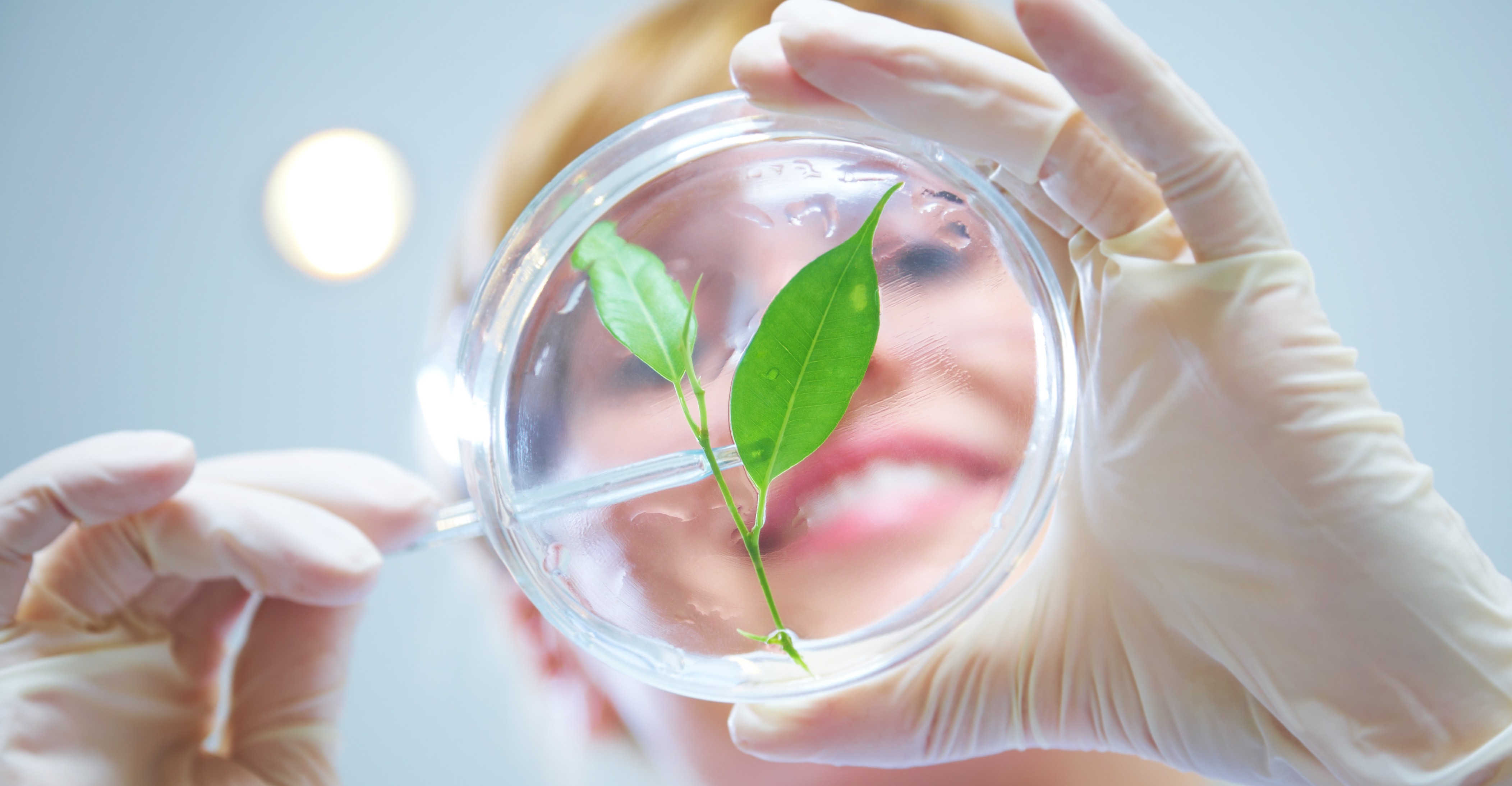 Etude prospective sur le Marché du Laboratoire