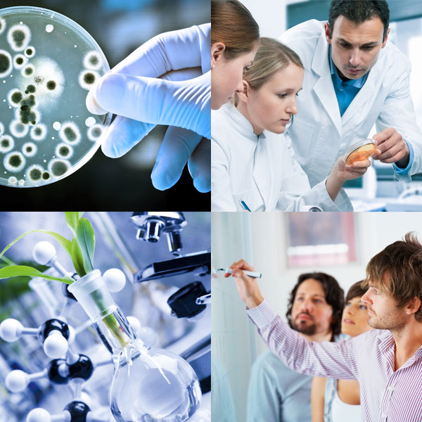 Devenez, en 1 an, un spécialiste indispensable à la recherche - CIFL