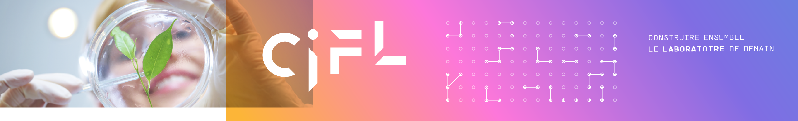CIFL Comité interprofessionnel des fournisseurs du laboratoire